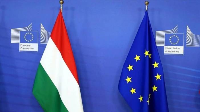 AB, Macaristan'ın dönem başkanlığının ertelenmesini tartışıyor