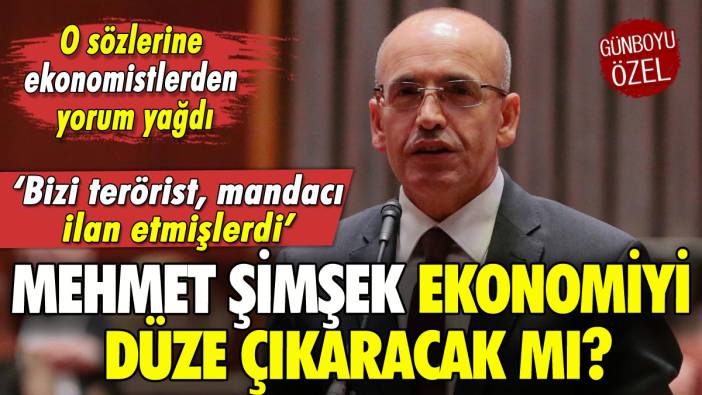 Mehmet Şimşek'in o sözlerine ekonomistlerden yorum: 'Bize terörist demişlerdi'