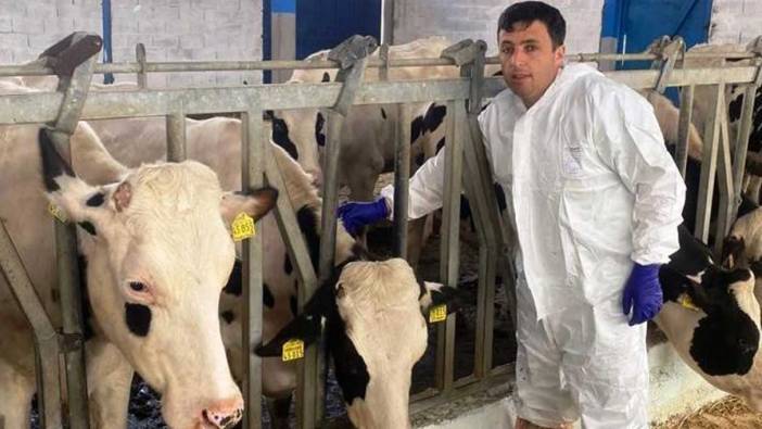 Simav’da ithal edilen hayvanların karantina, aşılama ve kan alma işlemleri devam ediyor