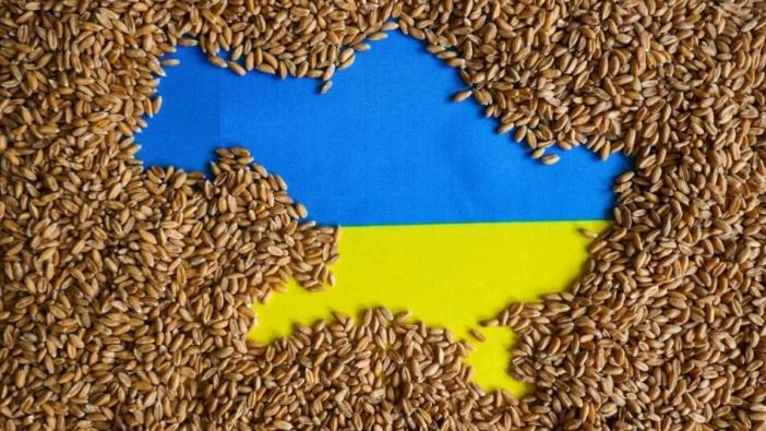 AB, 5 ülkenin Ukrayna'dan tahıl ithalatı kısıtlamasını uzattı