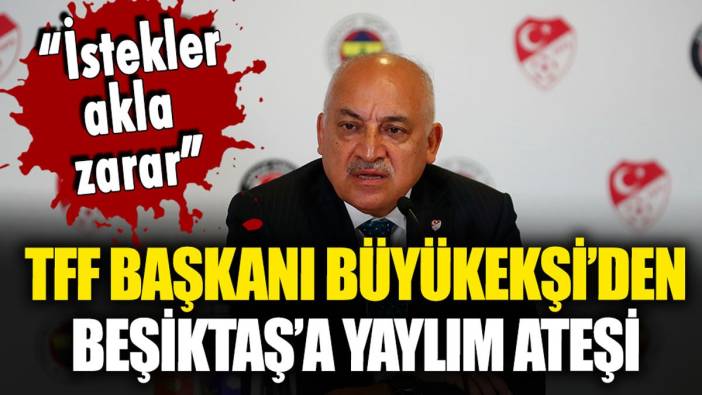 TFF Başkanı Büyükekşi'den Beşiktaş yönetimine yaylım ateşi: "Akla zarar, bir mantığı yok"