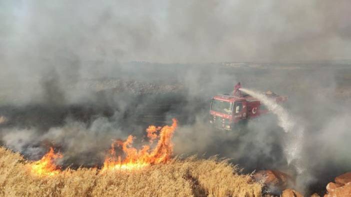 Gaziantep'te buğday tarlasında korkutan  yangın