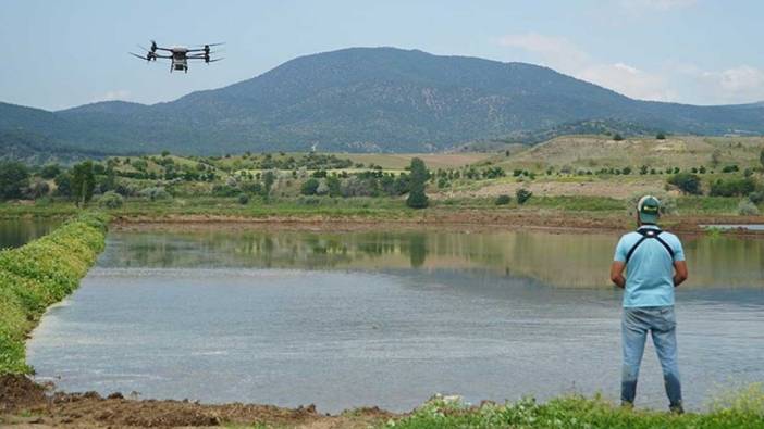 Pirinçte marka olan Osmancık'ta maliyet dronla düşürülüyor