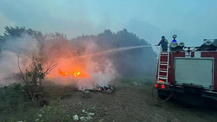 Kazakistan'da orman yangını: Can kaybı arttı