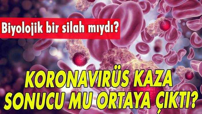 Koronavirüs kaza sonucu mu ortaya çıktı?