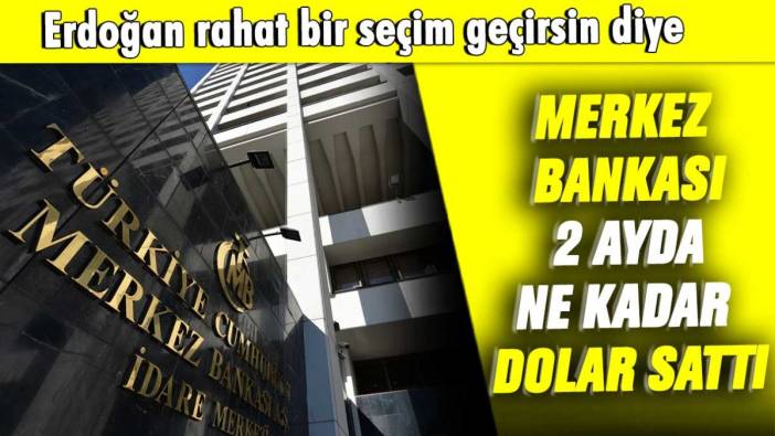 Erdoğan rahat bir seçim geçirsin diye Merkez Bankası 2 ayda ne kadar dolar sattı
