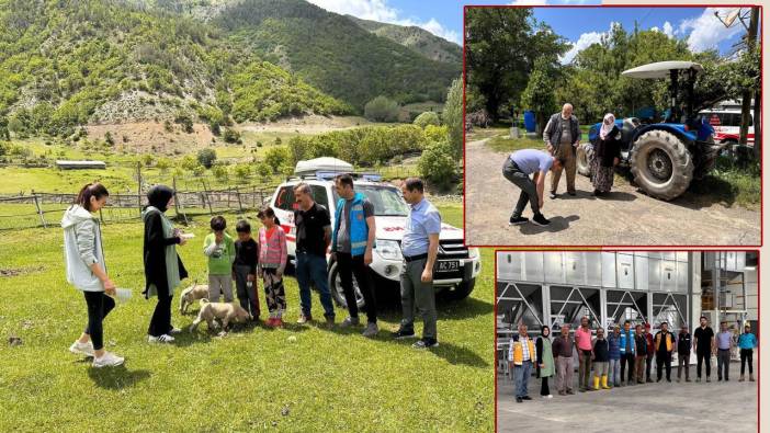 Doğada bulunurken kene popülâsyonuna dikkat!