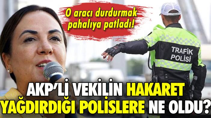 AKP'li Zeynep Gül Yılmaz'ın hakaret ettiği polislere ne olduğu ortaya çıktı!