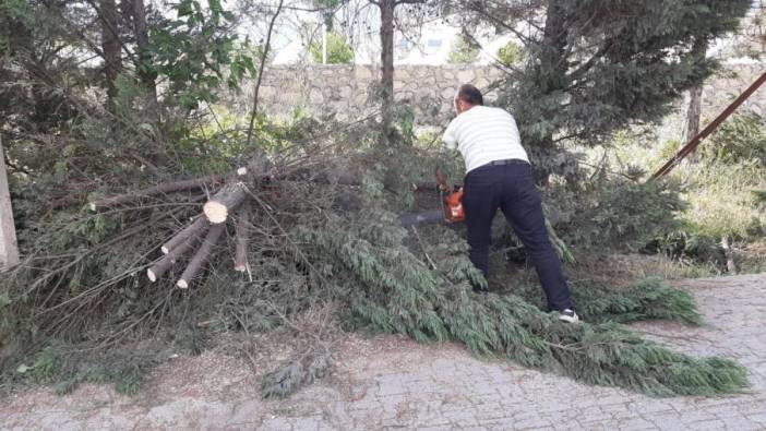 Karabük'te trafik için ağaç kaldırıldı