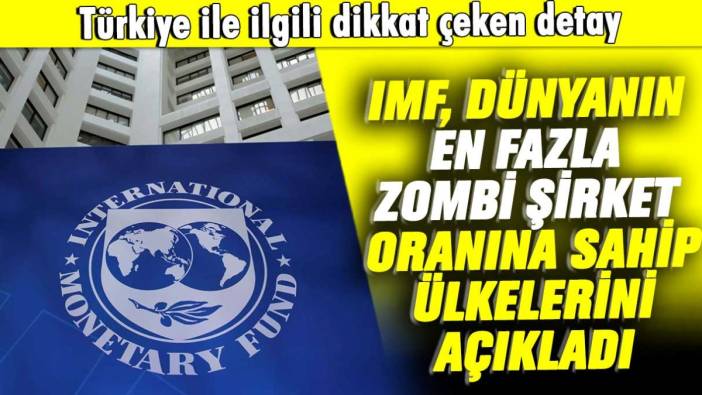 Türkiye ile ilgili dikkat çeken detay: IMF, dünyanın en fazla zombi şirket oranına sahip ülkelerini açıkladı