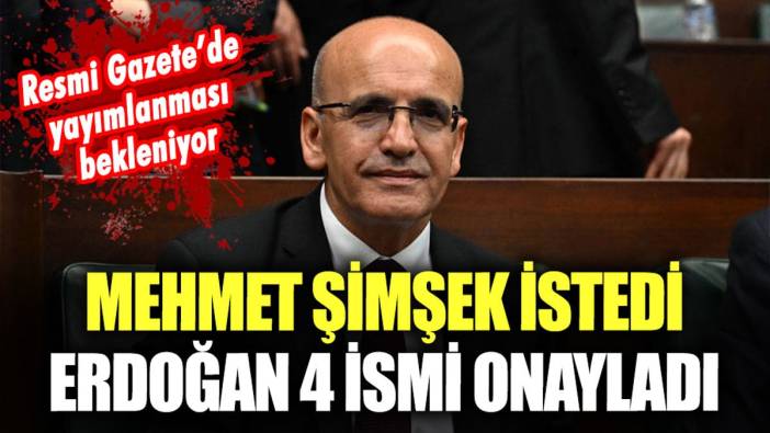 Mehmet Şimşek, Erdoğan'ı ikna etmeyi başardı: O isimler göreve başlayacak