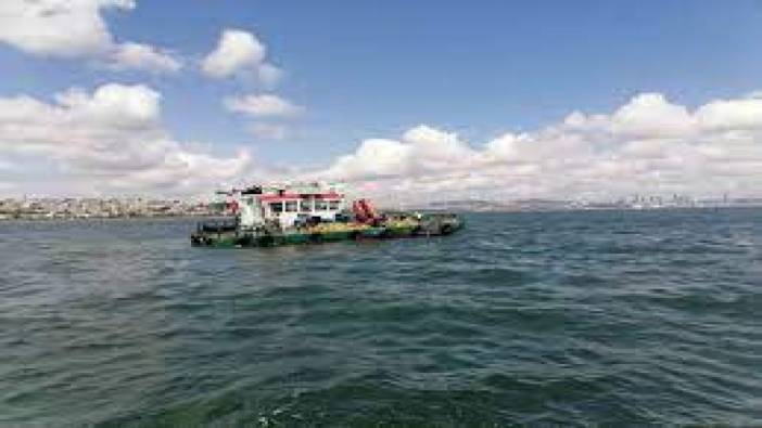 Marmara Denizi'nde kaçak midye operasyonu! 21 tekneye el konuldu!