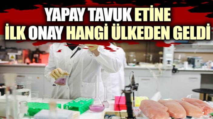 Yapay tavuk etine ilk onay hangi ülkeden geldi