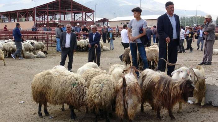 Veteriner hekimlerden 'kurbanlık' önerileri