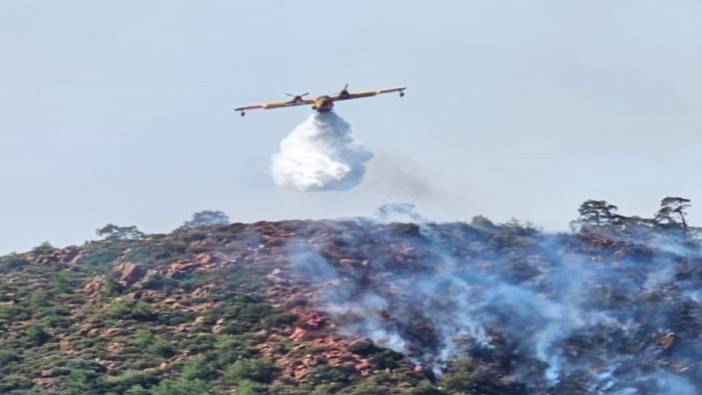Marmaris'teki orman yangını: 1 gözaltı