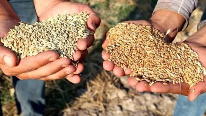 Buğday ve arpa satış fiyatları belli oldu