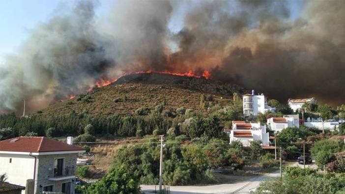 Datça'da çıkan yangında 25 hektarlık alan zarar gördü