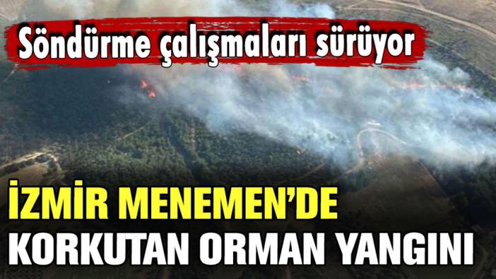 İzmir Menemen'de korkutan orman yangını: Söndürme çalışmaları devam ediyor