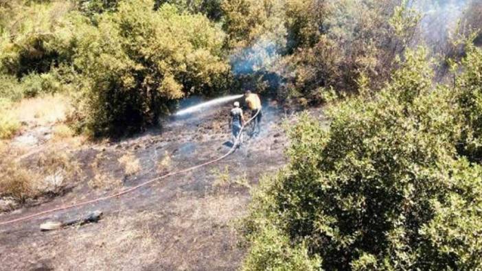 Osmaniye'de orman yangını çıktı: 2 dekar alan yandı