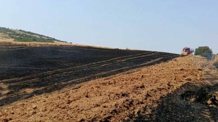 Çanakkale'de tarım arazisinde yangın; 1 hektar alan küle döndü