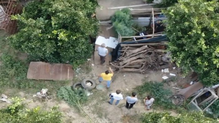 Meyve bahçesine ekilen Hint keneviri 'drone' ile tespit edildi