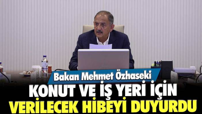 Bakan Mehmet Özhaseki konut ve iş yeri için verilecek hibeyi duyurdu