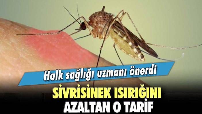 Halk sağlığı uzmanı önerdi! Sivrisinek ısırığını azaltan o tarif