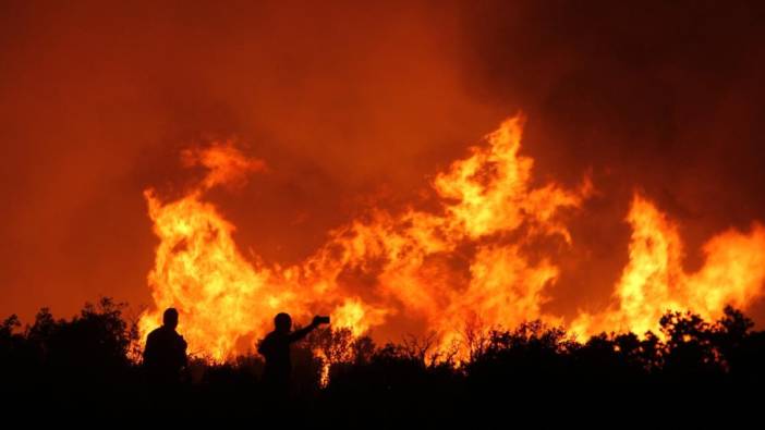 Valilik uyardı: Manisa'da orman yangın riski tavan yapacak