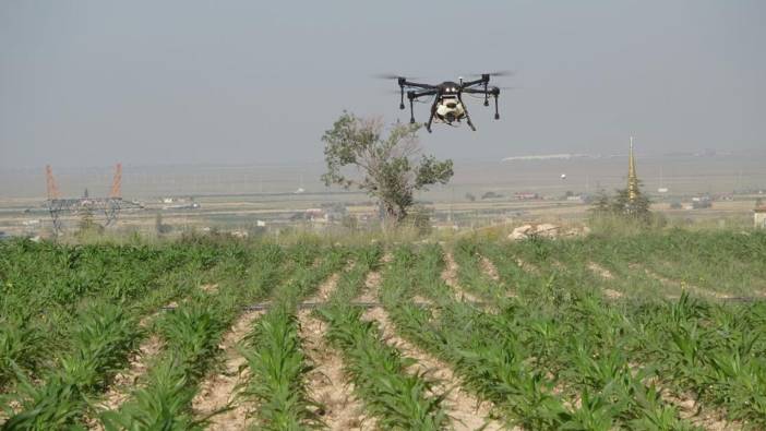 Niğde'de tarlalar dron ile ilaçlanıyor