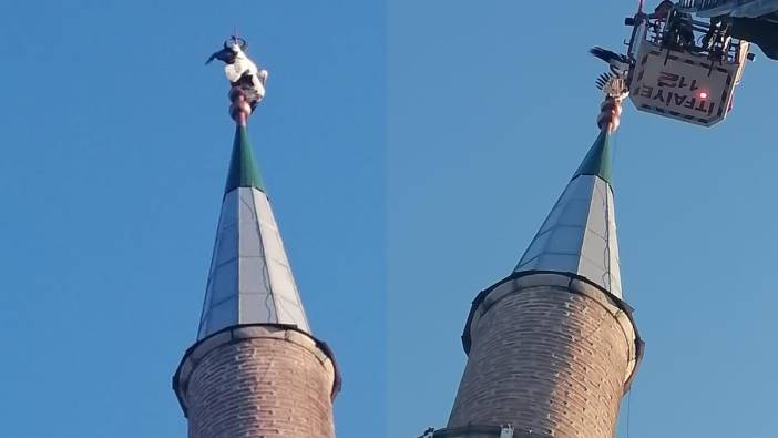 Kastamonu'da minareye takılan leyleği itfaiye kurtardı