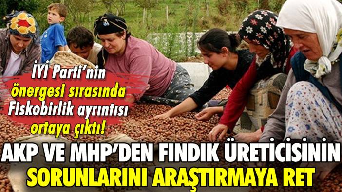 İYİ Parti'nin fındık üreticileriyle ilgili önergesine AKP ve MHP'den ret