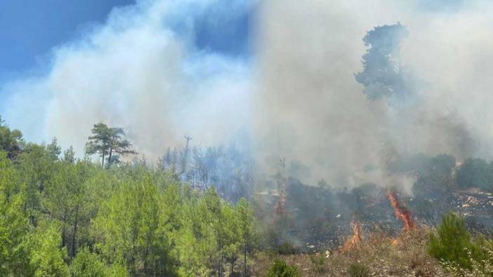 Antalya Kaş'ta orman yangını! Ekiplerin müdahalesi devam ediyor