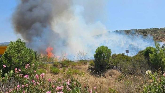Milas-Bodrum Havalimanı yolunda  korkutan orman yangını!