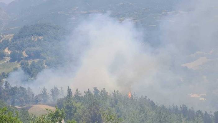 Osmaniye'de orman yangını: Söndürme çalışmaları devam ediyor