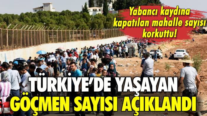 Türkiye'de yaşayan göçmen sayısı açıklandı