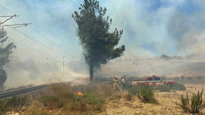 Adana'da orman yangını: Söndürme çalışmaları devam ediyor