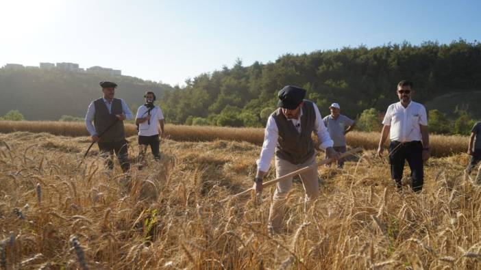 Türkiye’nin en ucuz ekmeği için buğday hasadı yapıldı