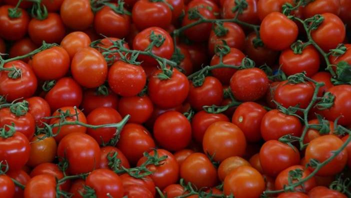 O ülke Türkiye'deki domates ithalat kotası arttırdı