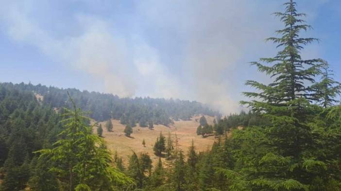 Adana'da çıkan orman yangınına müdahale devam ediyor