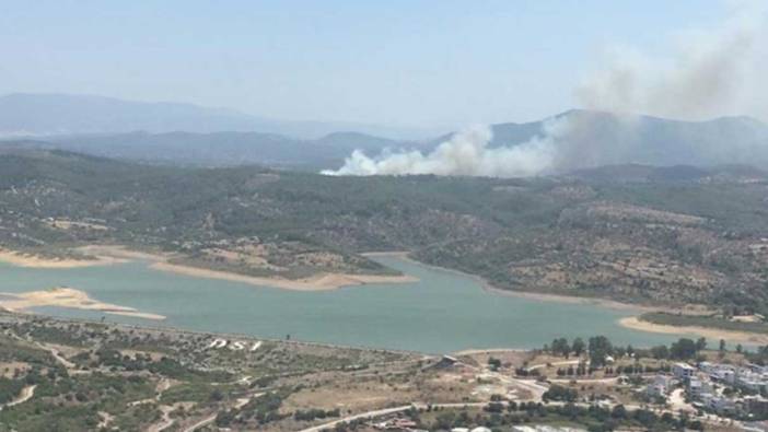 Milas'ta orman yangını çıktı: Söndürme çalışmaları başladı