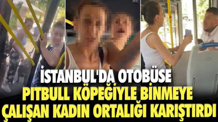 İstanbul'da otobüse pitbull köpeğiyle binmeye çalışan kadın ortalığı karıştırdı
