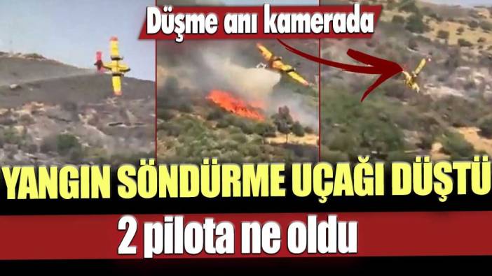 Yangın söndürme uçağı düştü: 2 pilottan hala haber alınamadı