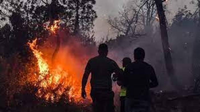 Cezayir'deki tüm orman yangınları söndürüldü