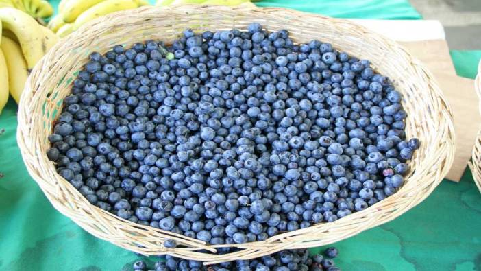 Acai (berry) üzümü nedir? Faydaları nelerdir?