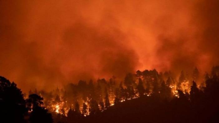 Yunanistan'daki orman yangınlarda ölenlerin sayısı yükseldi