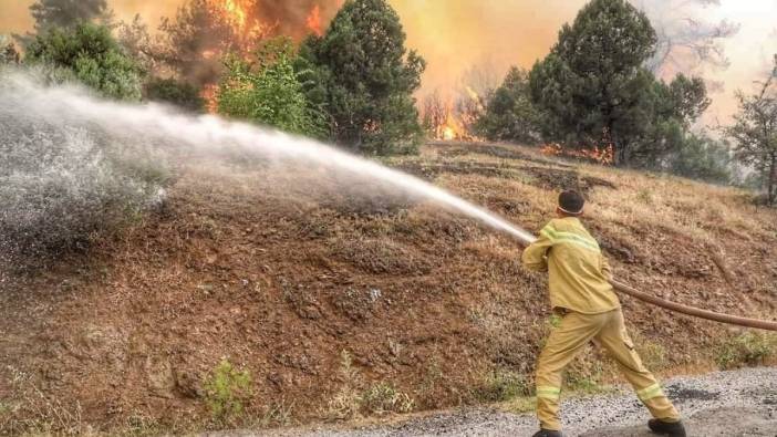 Kütahya'daki orman yangını 9 saat sonra kontrol altına alındı