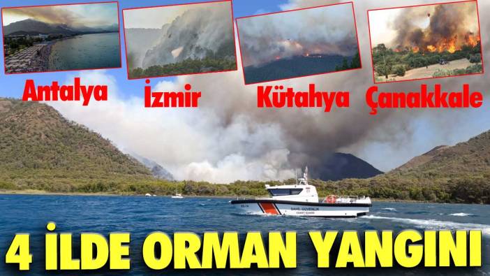 4 ilde orman yangını! Antalya, İzmir, Kütahya ve Çanakkale...