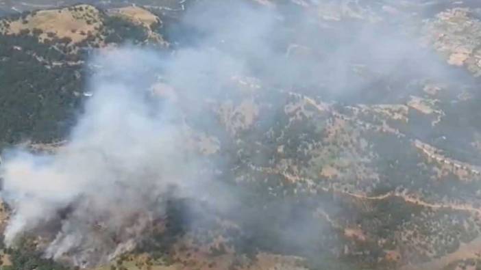 Manisa'nın Alaşehir'de orman yangını başladı