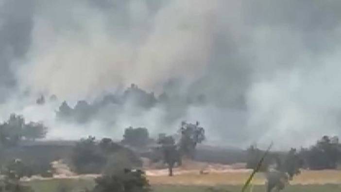 Isparta Gönen'de orman yangını