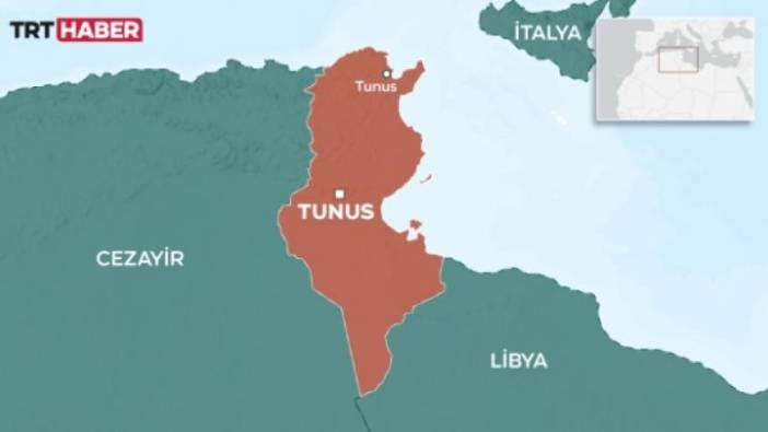Tunus Afrikalı göçmenlerle ilgili kendisine yöneltilen suçlamaları reddetti